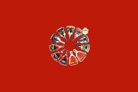 尚义回收红酒